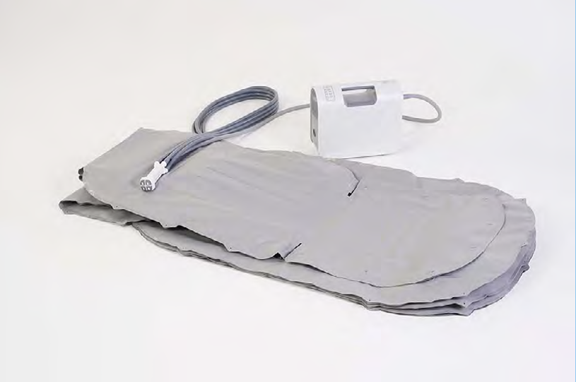 Eagle Lifting Cushion
